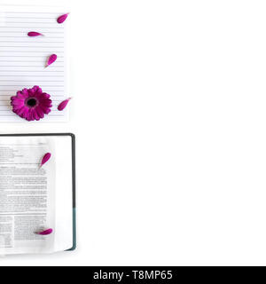 Lay piatto aprire la Bibbia o il libro e rosa, viola, violet​, rosso Gerbera fiore su uno sfondo bianco. Con petali di rosa Foto Stock