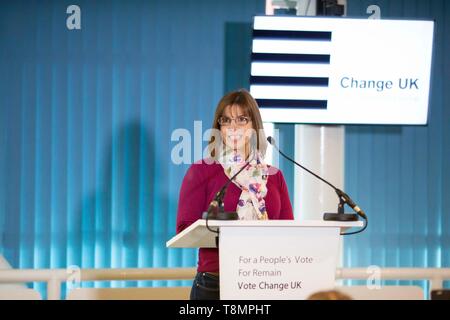 Cardiff Wales, Regno Unito, 13 maggio 2019. MEP candidato Sally Stephenson parla durante la modifica del Regno Unito voto popolare e rimangono evento presso il Principato Stadium Foto Stock