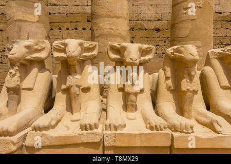 Sfingi road al complesso del Tempio di Karnak a Luxor, Egitto Foto Stock