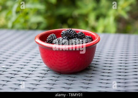 More fresco in un recipiente rosso su grigio di una superficie di rattan con sfocate cespugli verdi come sfondo Foto Stock