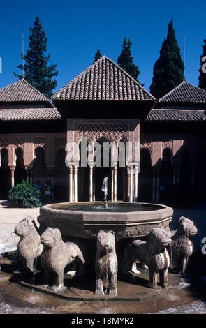 Patio de los leones, Alcazar, Granada, Andalusia, Spagna, Europa Foto Stock