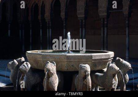 Patio de los leones, Alcazar, Granada, Andalusia, Spagna, Europa Foto Stock