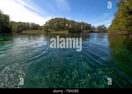 Le origini di San Naum. Questa acqua cristallina cambia costantemente i suoi colori incredibili. Foto Stock