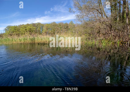 Le origini di San Naum. Questa acqua cristallina cambia costantemente i suoi colori incredibili. Foto Stock