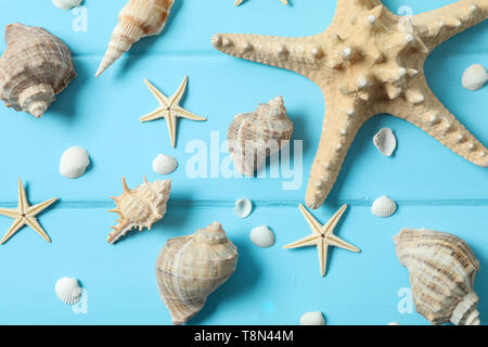 Molte stelle marine e conchiglie sul colore di sfondo in legno, primo piano e vista dall'alto. La vacanza estiva sfondo Foto Stock