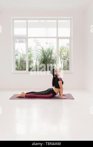 Bella giovane donna le pratiche yoga asana Urdhva Mukha Svanasana - Cane con la testa in su alla classe di yoga Foto Stock