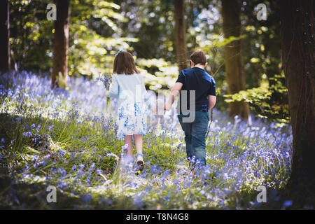 Un ragazzo e una ragazza bambini passeggiate attraverso boschi, coperto di fiori Bluebell tenendo un orsacchiotto Foto Stock