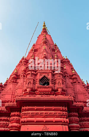 Red Shri Durga (scimmia) Tempio, Varanasi, India Foto Stock