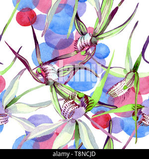 Wild Orchid floreale di fiori botanica. Acquerello illustrazione dello sfondo impostato. Perfetta configurazione di sfondo. Foto Stock