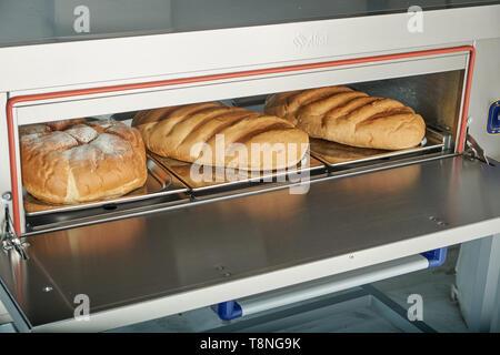 Industriale forno elettrico per catering con set di cibo. Appena sfornato prodotti da forno Foto Stock