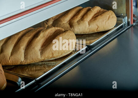 Industriale forno elettrico per catering con set di cibo. Appena sfornato prodotti da forno Foto Stock