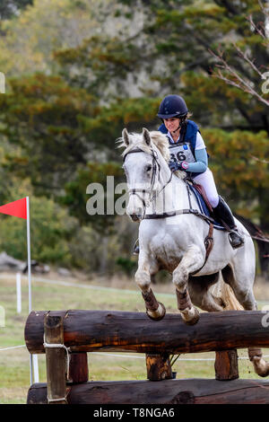 Piloti in lizza al Marcus Oldham Ballarat International Horse Trials 2019 Foto Stock