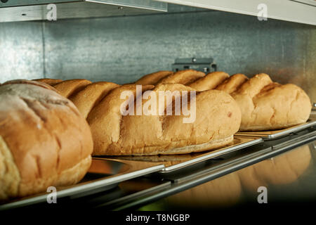 Industriale forno elettrico per catering con set di cibo. Appena sfornato prodotti da forno Foto Stock