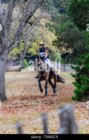 Piloti in lizza al Marcus Oldham Ballarat International Horse Trials 2019 Foto Stock