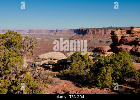 Grandview punto nel Parco Nazionale di Canyonlands, Island in the Sky , Moab, Utah, Stati Uniti d'America, America del Nord Foto Stock