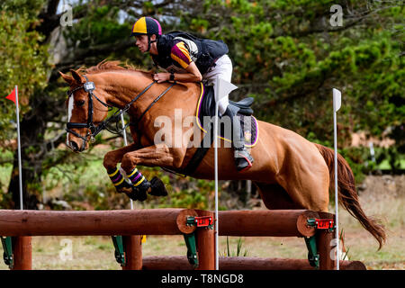 Piloti in lizza al Marcus Oldham Ballarat International Horse Trials 2019 Foto Stock