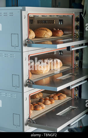 Industriale forno elettrico per catering con set di cibo. Appena sfornato prodotti da forno Foto Stock