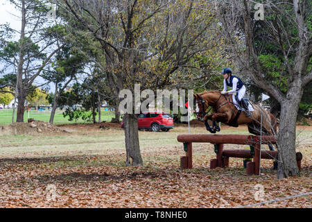 Piloti in lizza al Marcus Oldham Ballarat International Horse Trials 2019 Foto Stock