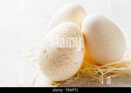 Le uova di tacchino con del fieno su sfondo grigio. Foto Stock