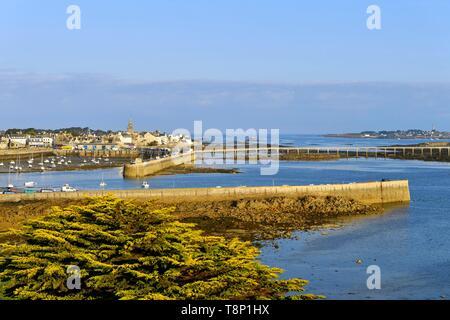 Francia, Finisterre, Roscoff, porto con gli itinerari segreti di Palazzo Ducale (1701) di Notre-dame de Batz Croaz chiesa Foto Stock