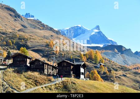 La Svizzera nel canton Vallese, Zermatt, frazione Findeln ai piedi del Cervino, vertice Strahlhorn e Adlerhorn Foto Stock