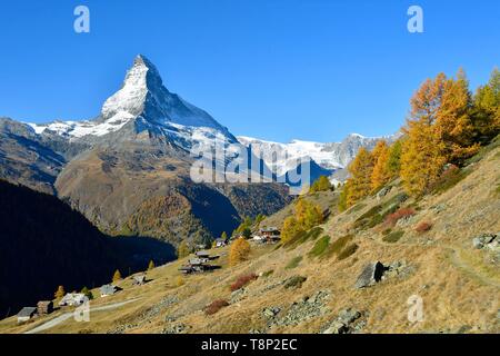 La Svizzera nel canton Vallese, Zermatt, Findelntal (Findeln valley), frazione Findeln e Cervino (4478m) Foto Stock