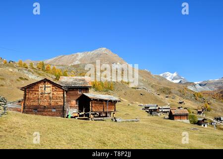 La Svizzera nel canton Vallese, Zermatt, frazione Findeln ai piedi del Cervino, vertice Strahlhorn e Adlerhorn Foto Stock