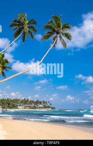 Sri Lanka, della provincia meridionale, Unawatuna, Dalawella beach Foto Stock