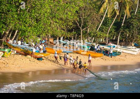 Sri Lanka, della provincia meridionale, Tangalle, spiaggia vicino al porto di pescatori, ishermen tirando verso l'alto il loro net Foto Stock