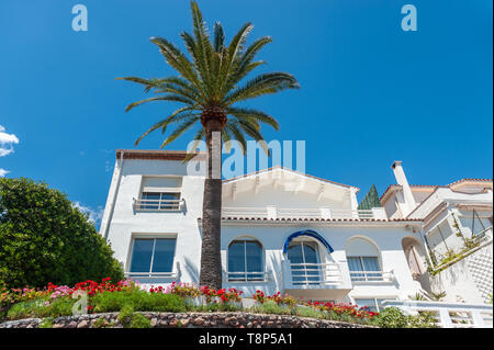 Palm tree davanti a una casa residenziale presso il percorso costiero, Mandelieu-la-Napoule, Var, Provence-Alpes-Côte d'Azur, in Francia, in Europa Foto Stock