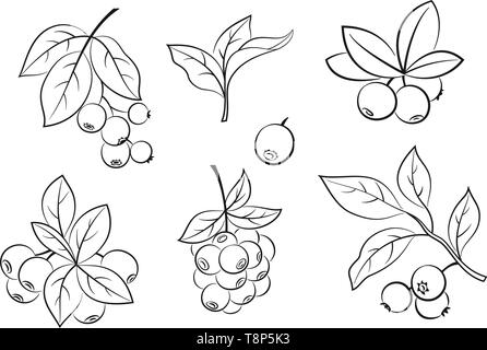 Set di mirtilli pittogrammi Illustrazione Vettoriale