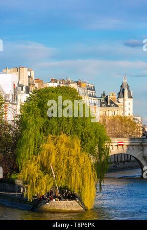 Francia, Parigi, zona elencata come patrimonio mondiale dall' UNESCO, le rive della Senna, la punta dell'Ile de la Cite Foto Stock