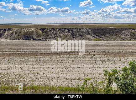 13 maggio 2019, Brandeburgo, Cottbus: vista panoramica sulla a cielo aperto ex miniera di lignite Cottbus-Nord. Le inondazioni dell'ex Cottbus-Nord miniera a cielo aperto ha cominciato a metà aprile 2019. Le inondazioni del grande pit è quello di creare la cosiddetta del Mar Baltico. Secondo la società energetica Lausitz Energie Bergbau AG (LEAG), l'operatore, è acqua di fluire dalla Sprea via Hammergraben in open-cast pit - per un totale di circa 45 milioni di metri cubi per anno. Il grande lago artificiale avrà una superficie di acqua di quasi 19 chilometri quadrati. Nel 2025, secondo LEAG, l'acqua avrà raggiunto la Foto Stock