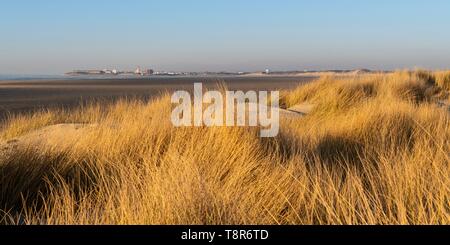 Francia, Somme, baia di Authie, Fort-Mahon, le dune di Marquenterre, a sud della baia di Authie, Berck-sur-mer in background Foto Stock