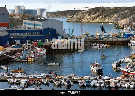 La Groenlandia, Costa Ovest, Disko Bay, Ilulissat, Foto Stock