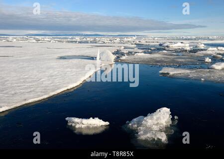La Groenlandia, North West Coast, Smith sound a nord della baia di Baffin, fusione pezzi rotti del Mare Artico ice Foto Stock
