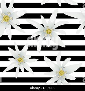 Striped seamless pattern con edelweiss fiori. La bellezza di neve. Illustrazione Vettoriale. Stella alpina. simbolo della Svizzera. Illustrazione Vettoriale