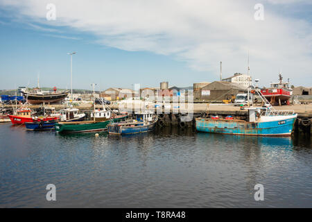 Barche da pesca in Arklow harbour - Irlanda Foto Stock