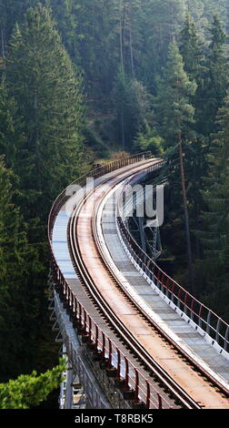 Ponte ferroviario nella foresta Foto Stock