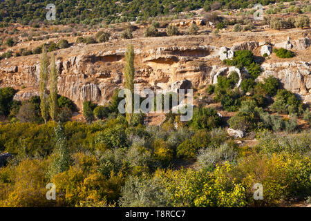 La Valle de Ajloun. Jordania, Oriente Medio Foto Stock