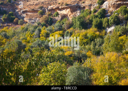 La Valle de Ajloun. Jordania, Oriente Medio Foto Stock