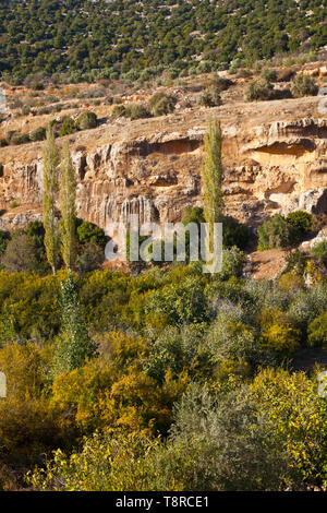 La Valle de Ajloun. Jordania, Oriente Medio Foto Stock