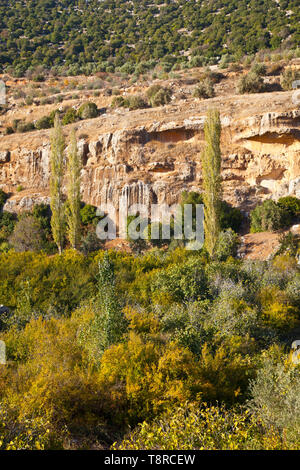 La Valle de Ajloun. Jordania, Oriente Medio Foto Stock