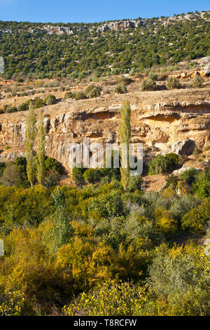 La Valle de Ajloun. Jordania, Oriente Medio Foto Stock