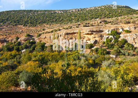 La Valle de Ajloun. Jordania, Oriente Medio Foto Stock