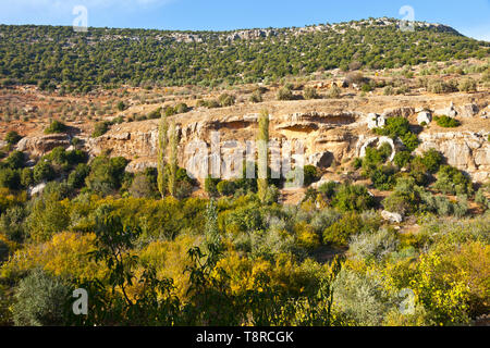 La Valle de Ajloun. Jordania, Oriente Medio Foto Stock