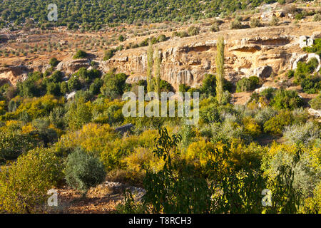 La Valle de Ajloun. Jordania, Oriente Medio Foto Stock