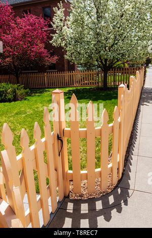 Off in legno bianco Picket Fence; Cherry & Crabapple alberi in piena fioritura primaverile; Salida; Colorado; USA Foto Stock