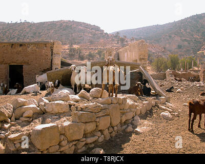 Il villaggio abbandonato di Souskiou: abitazioni in rovina in un ex enclave turco nella parte greca di Cipro ora abitata solo da capre Foto Stock