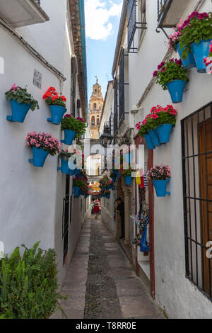 I turisti in Calleja de las Flores, è una delle più famose strade turistiche di , Grande Moschea di Cordova in background. Andalusia, Spagna Foto Stock